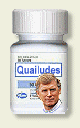 What a waste it is to lose one's mind. Or not to have a mind is being very wasteful. How true that is. 

-- Vice President Dan Quayle speaking to the United Negro College Fund